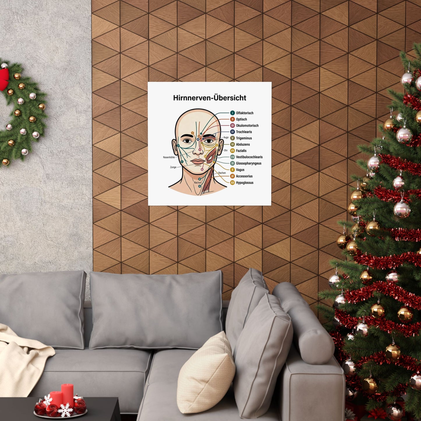 Anatomy Poster — Hirnnerven-Übersicht Matte Vertical Poster