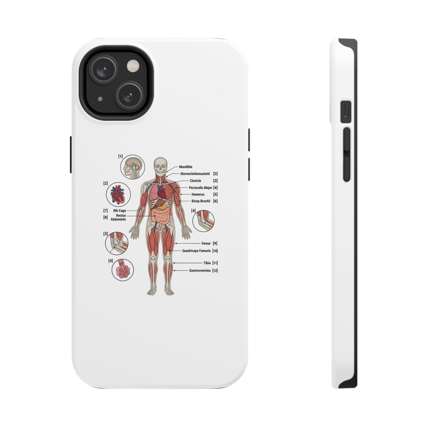 Anatomy Study Phone Case — Human Anatomy Diagram for Medical Students