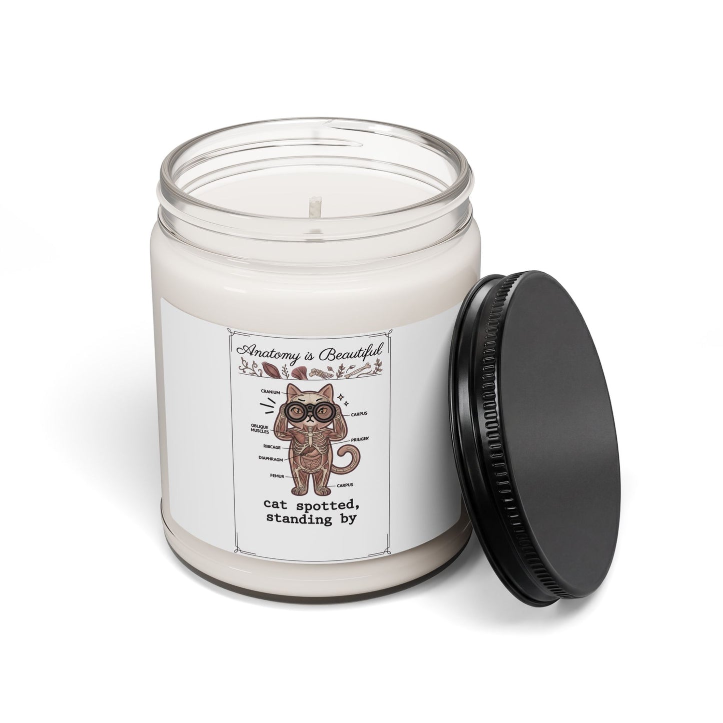 Anatomy of a Beautiful Cat Soy Candle | Cat-Centric Novelty, Whimsical Doodle
