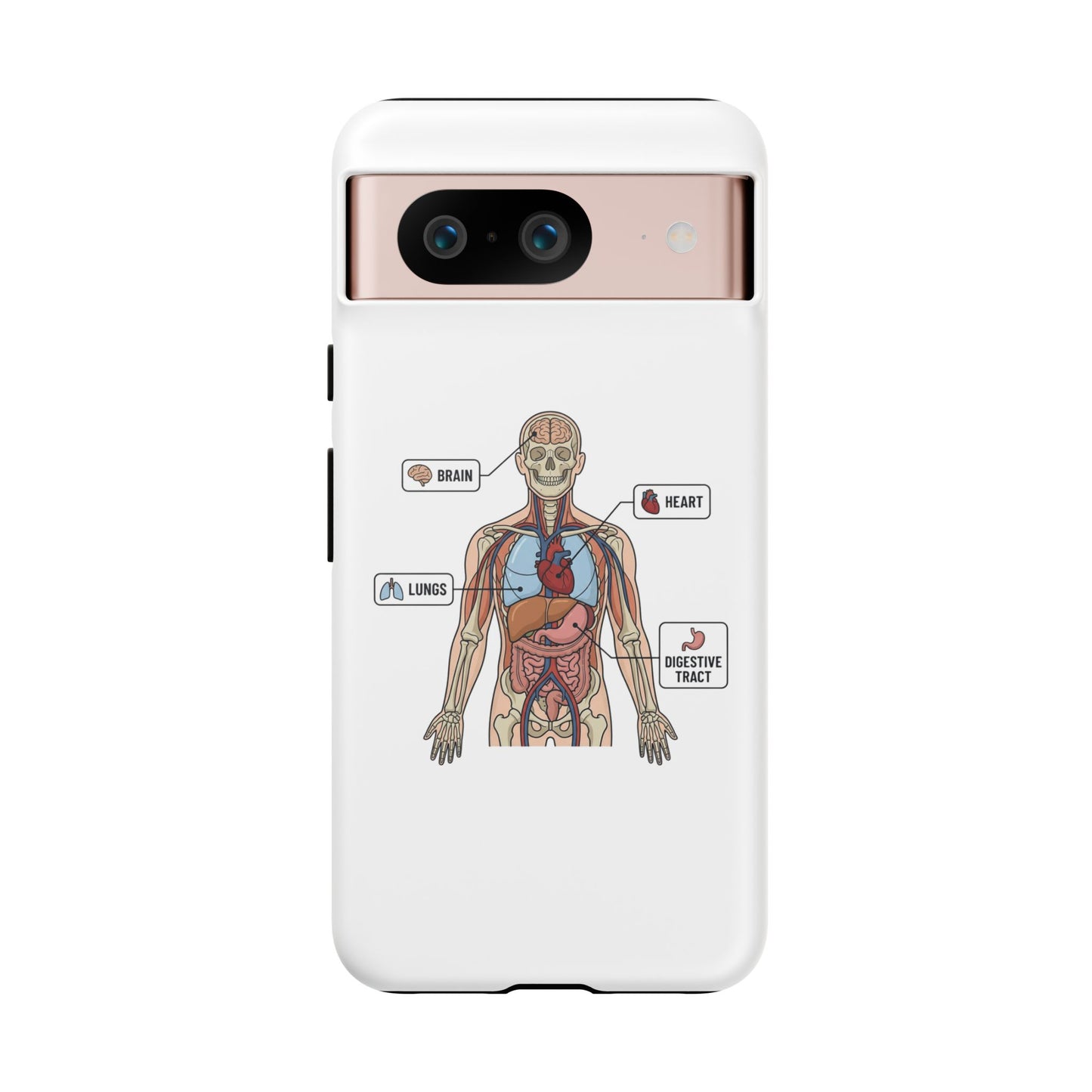 Anatomy Case — Medical Student Human Anatomy Study Aid