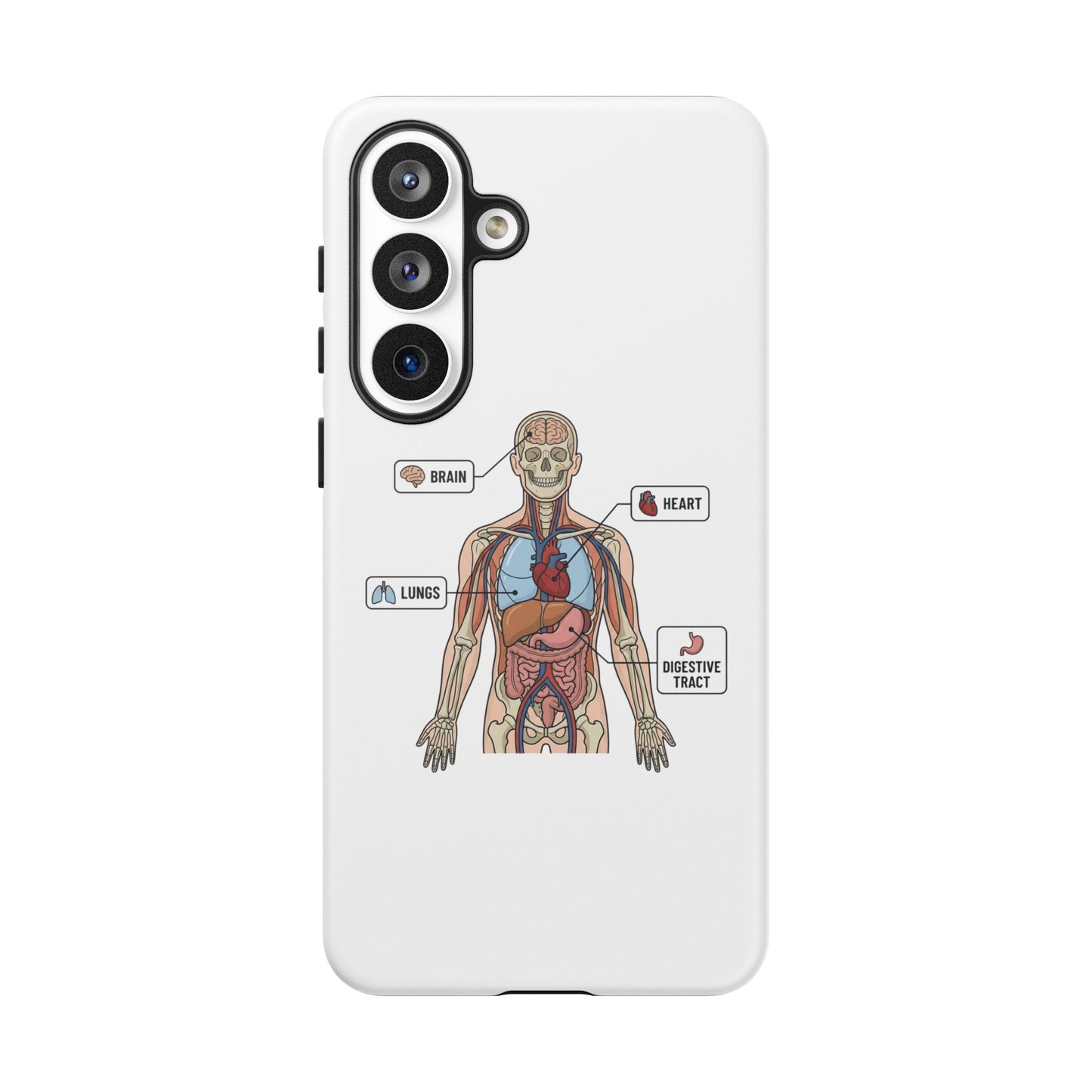 Anatomy Case — Medical Student Human Anatomy Study Aid