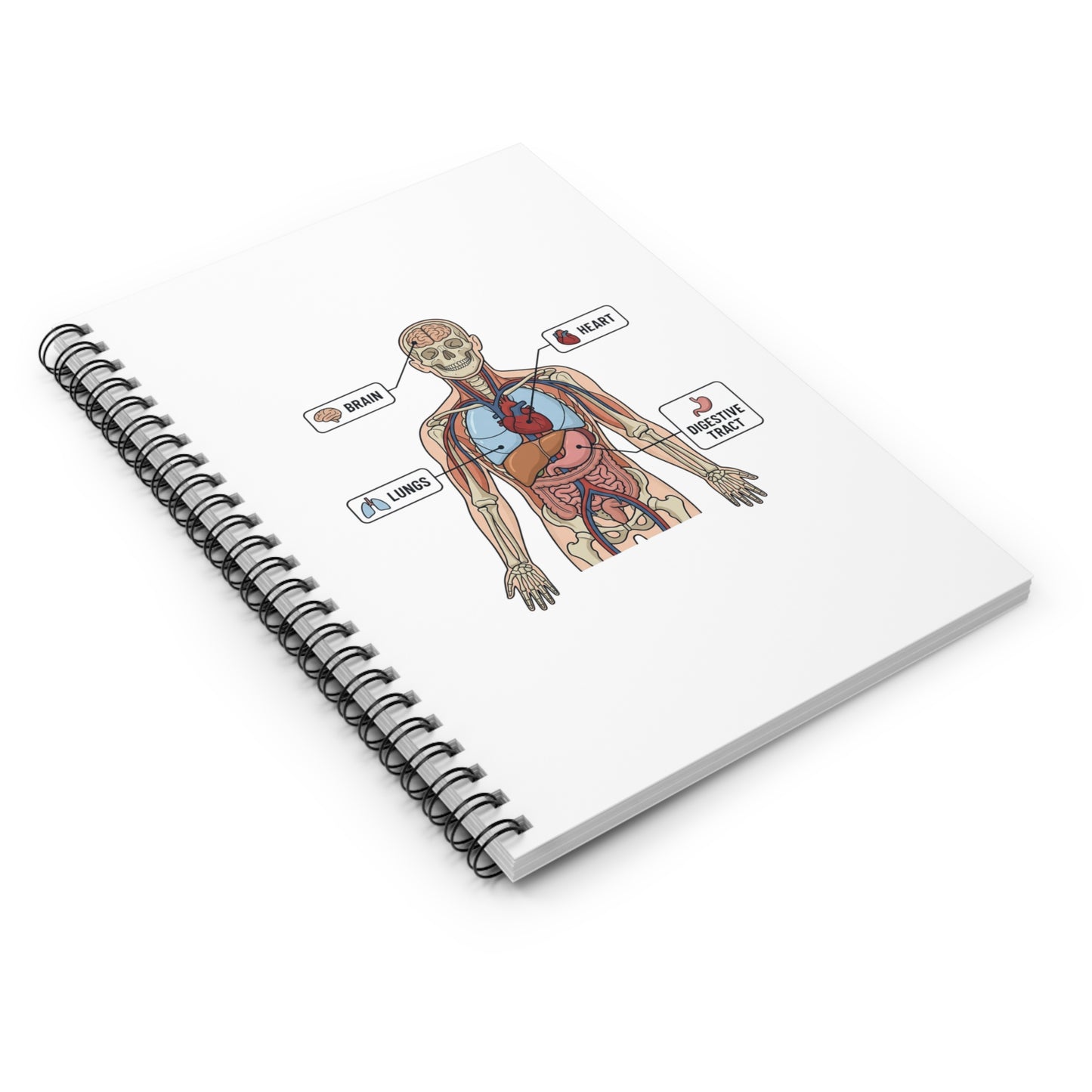 Human Anatomy Spiral Notebook — Ruled Medical Study Notebook for Medicine Students