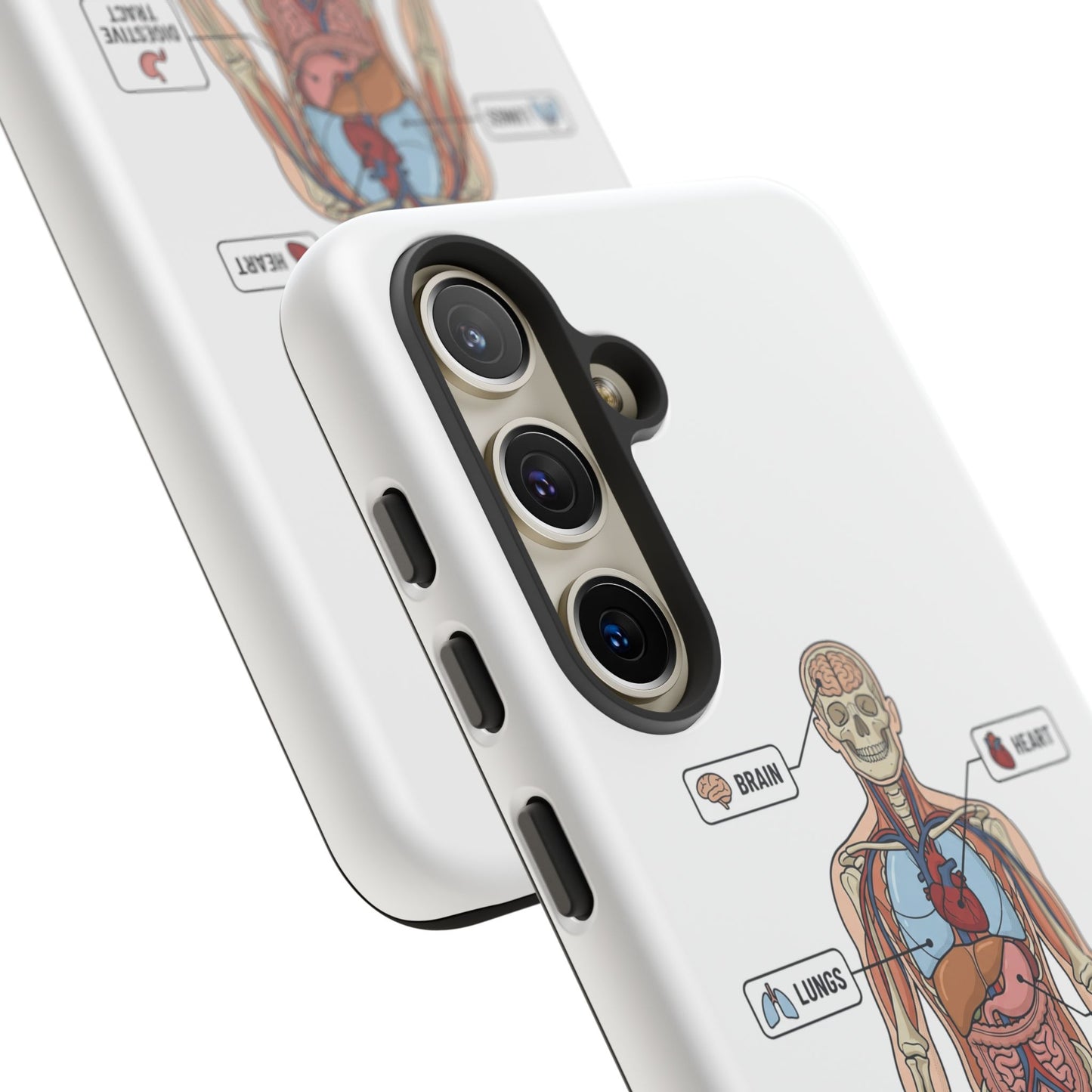 Anatomy Case — Medical Student Human Anatomy Study Aid