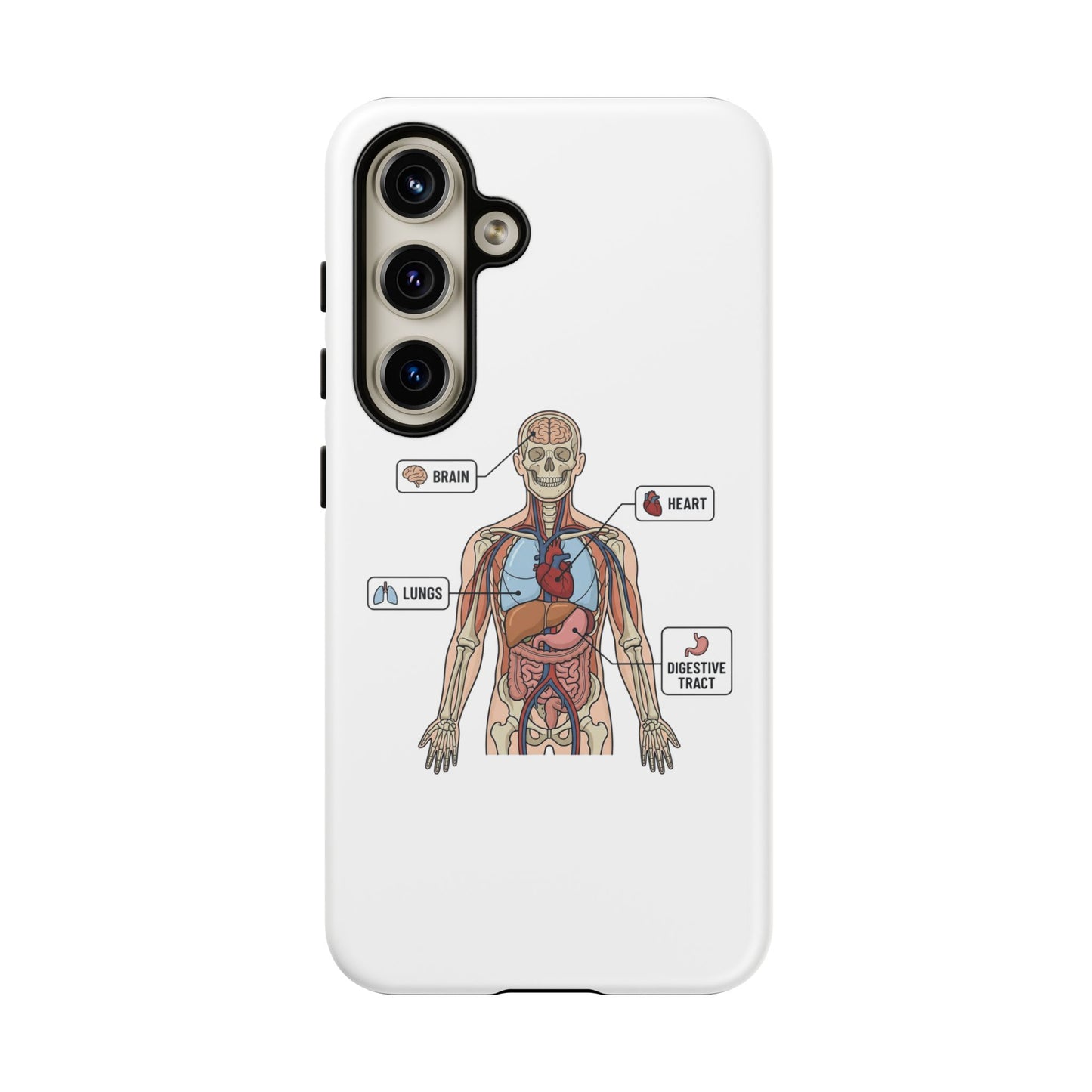 Anatomy Case — Medical Student Human Anatomy Study Aid