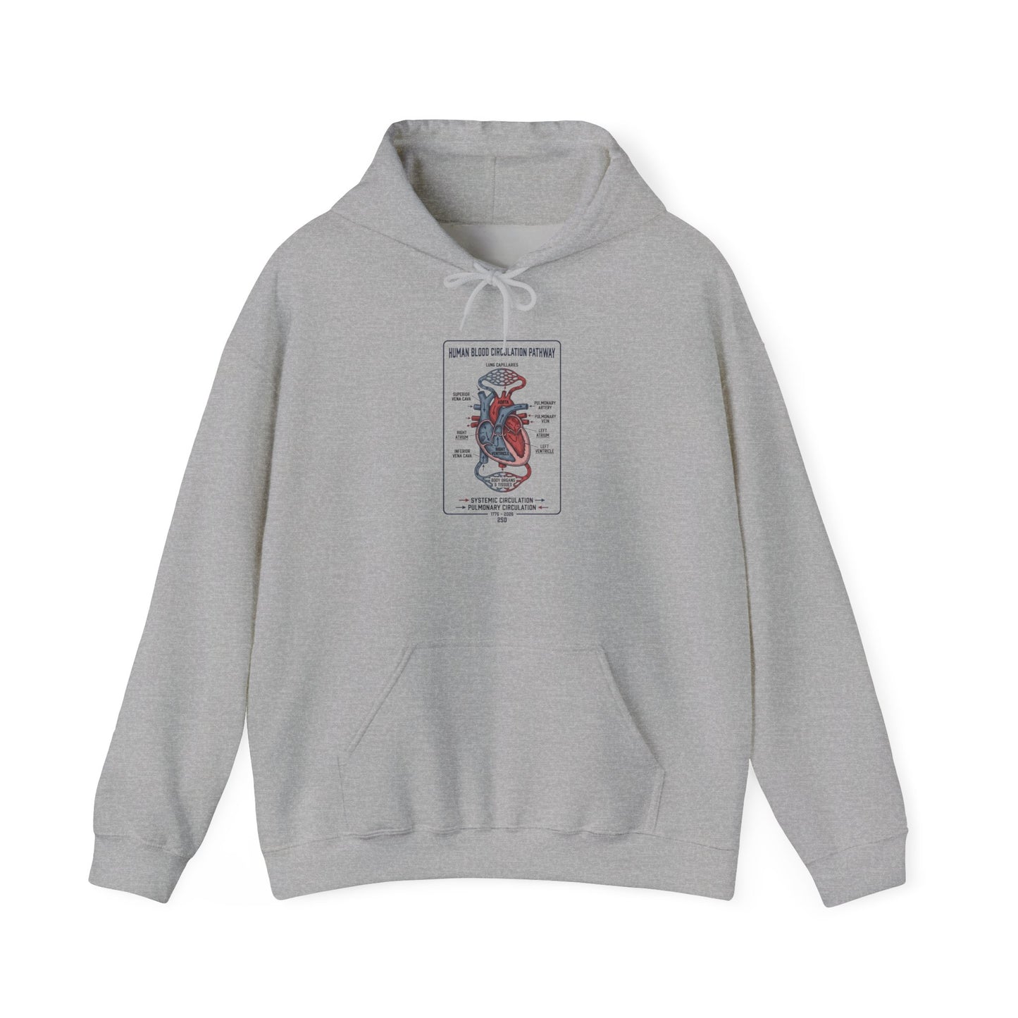 250th Anniversary Patriotic Anatomy Heart Hoodie | 4th of July Independence Sweatshirt