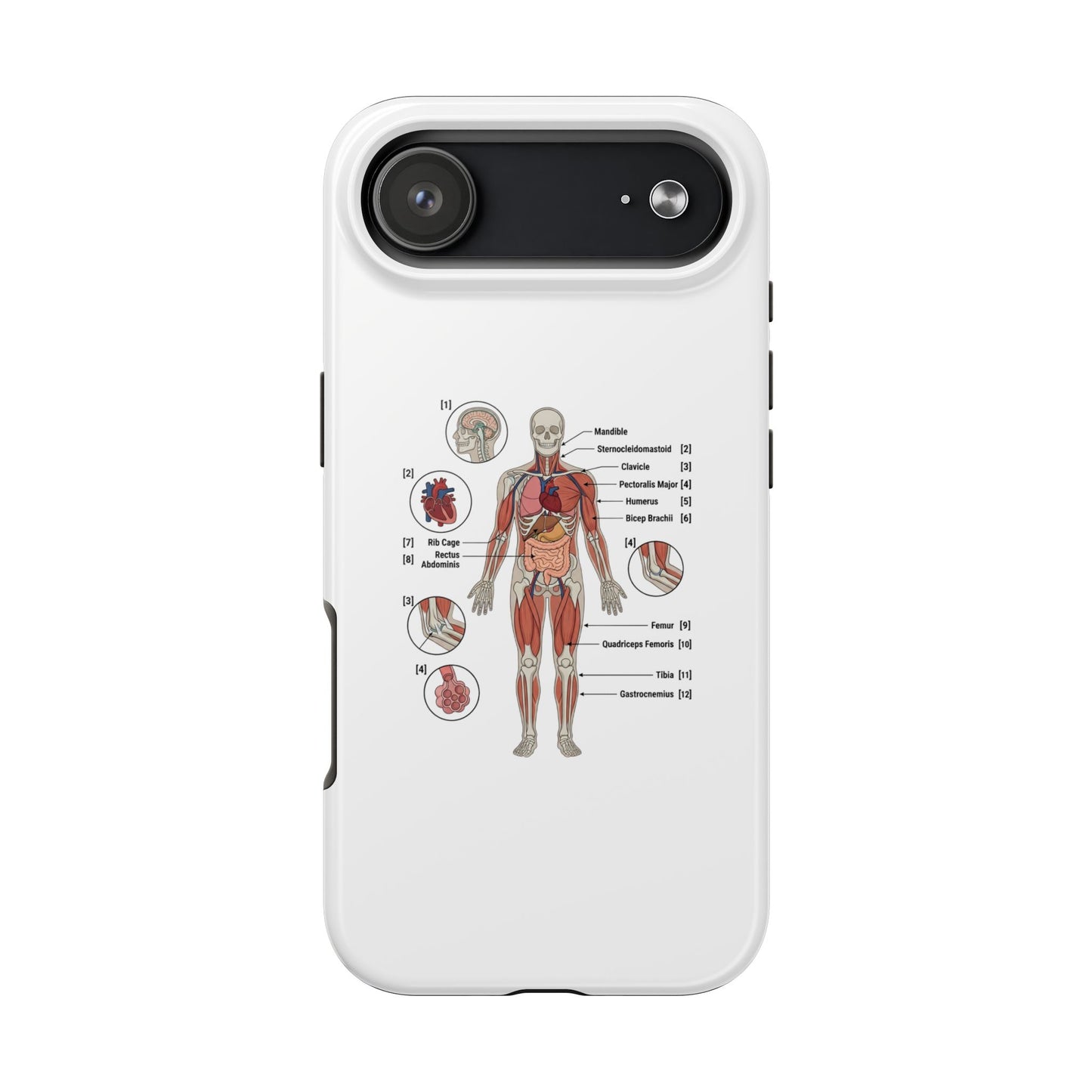 Anatomy Study Phone Case — Human Anatomy Diagram for Medical Students