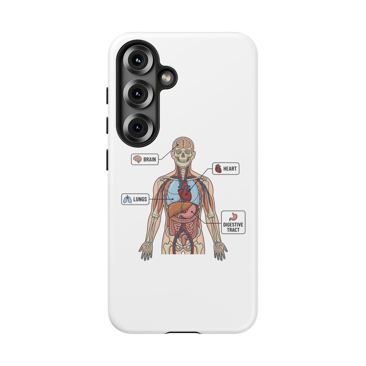 Anatomy Case — Medical Student Human Anatomy Study Aid