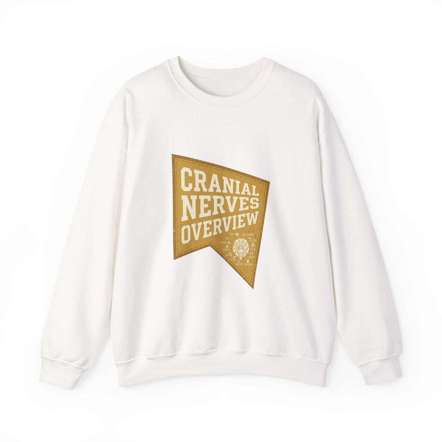 Cranial Nerves Overview Sweatshirt | Retro Anatomy, Easy Tiger Vibe