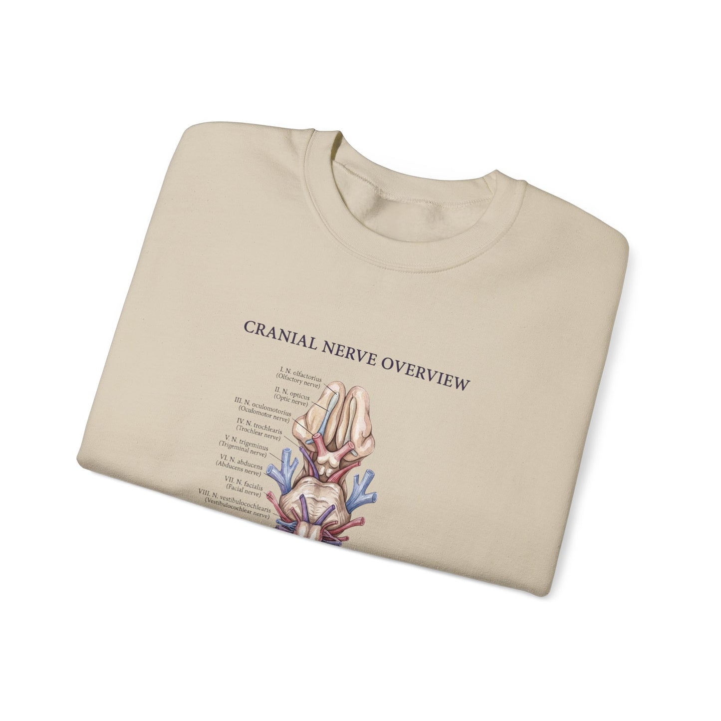 Birth Flower Botanical Crewneck Sweatshirt | Personalized Month Floral Illustration
