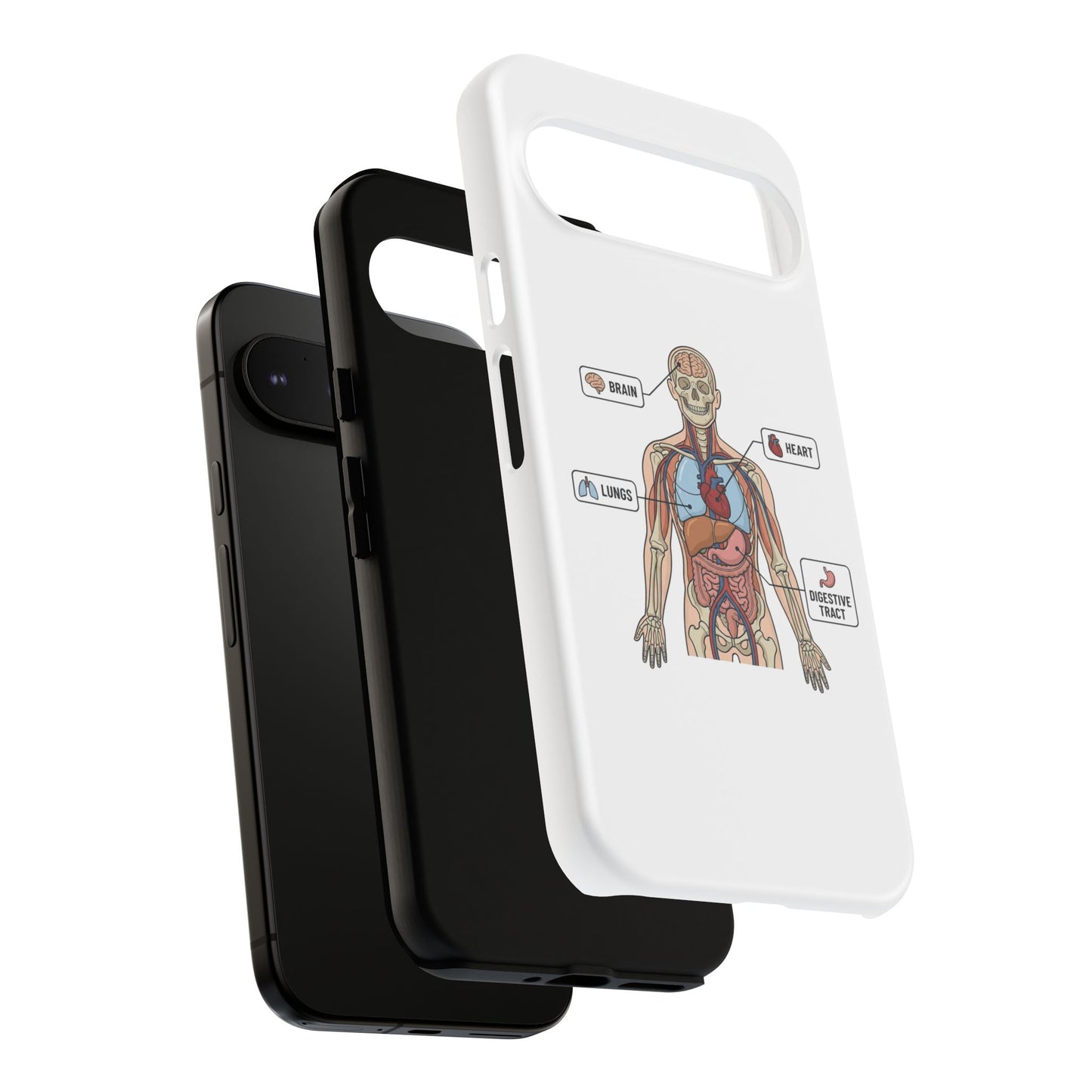 Anatomy Case — Medical Student Human Anatomy Study Aid