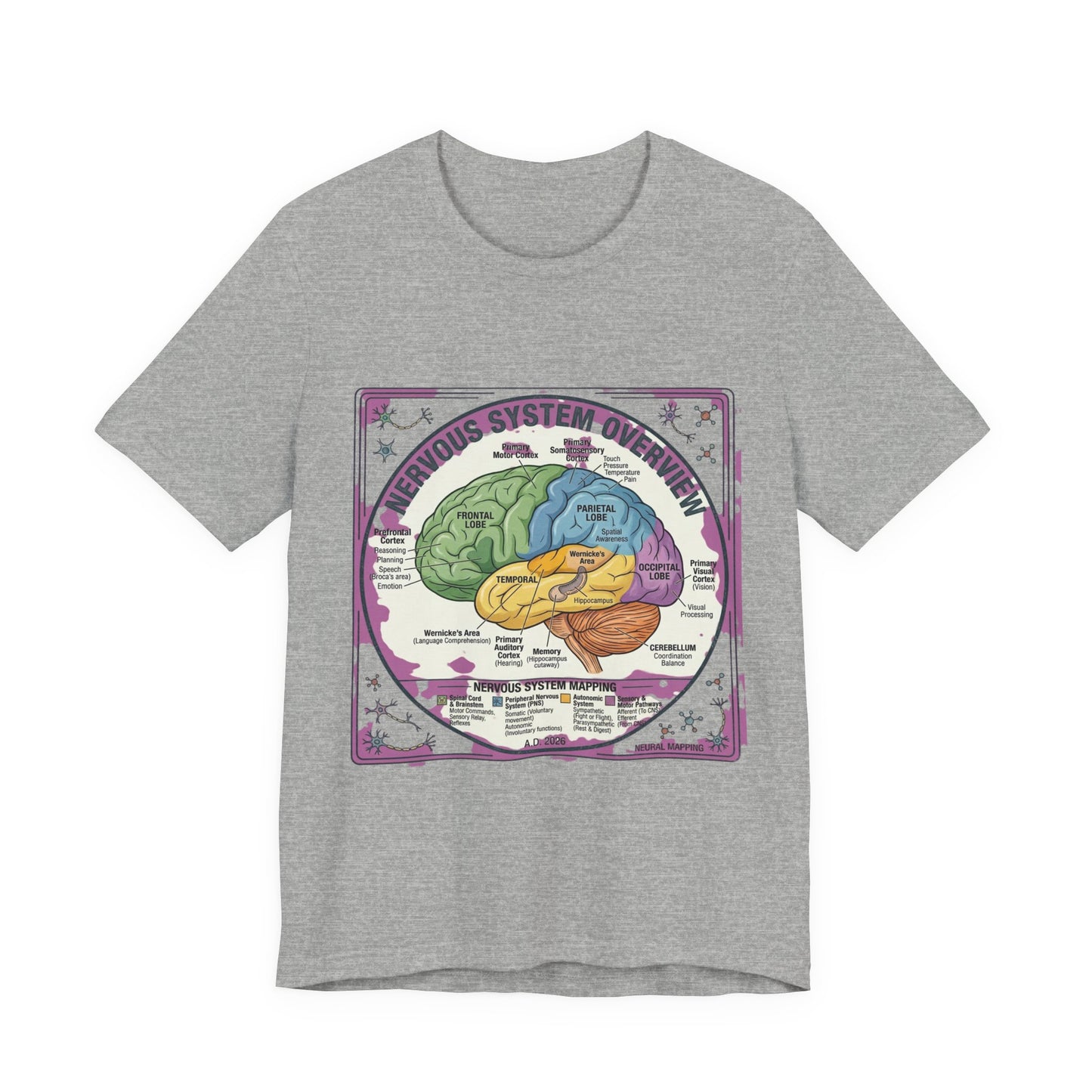 Brain Anatomy Diagram Tee | 250th Independence Day, Patriotic Milestone