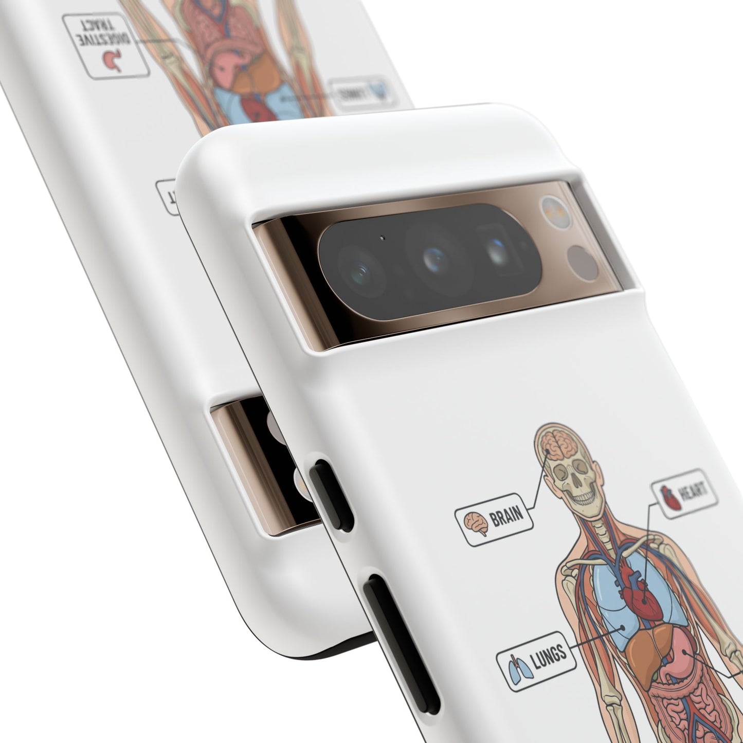 Anatomy Case — Medical Student Human Anatomy Study Aid