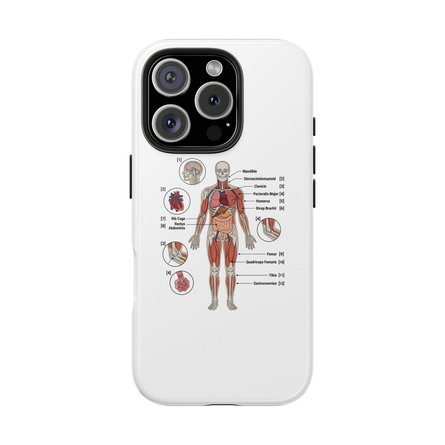 Anatomy Study Phone Case — Human Anatomy Diagram for Medical Students