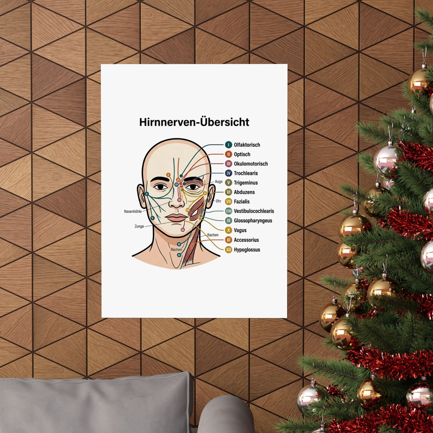 Anatomy Poster — Hirnnerven-Übersicht Matte Vertical Poster
