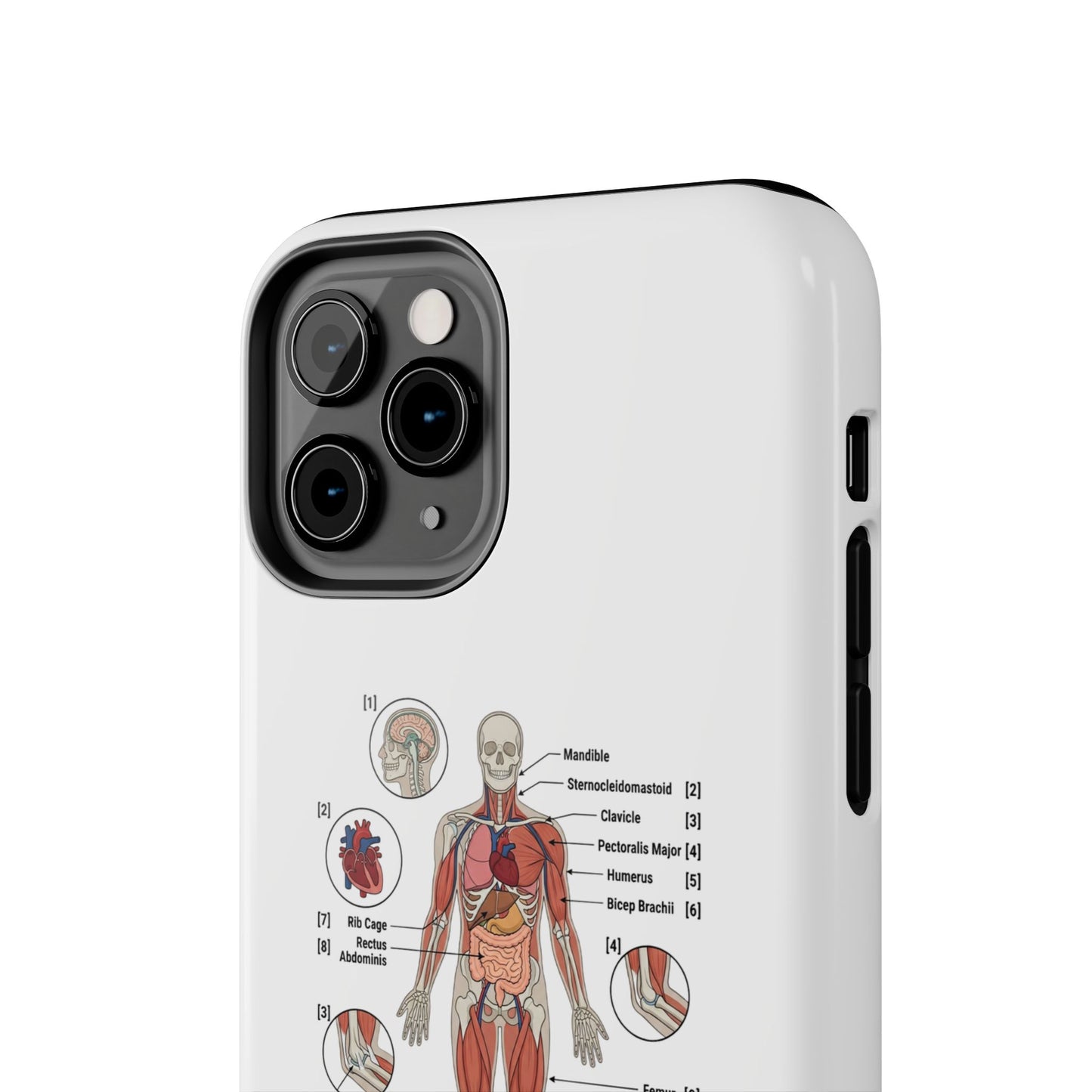 Anatomy Study Phone Case — Human Anatomy Diagram for Medical Students