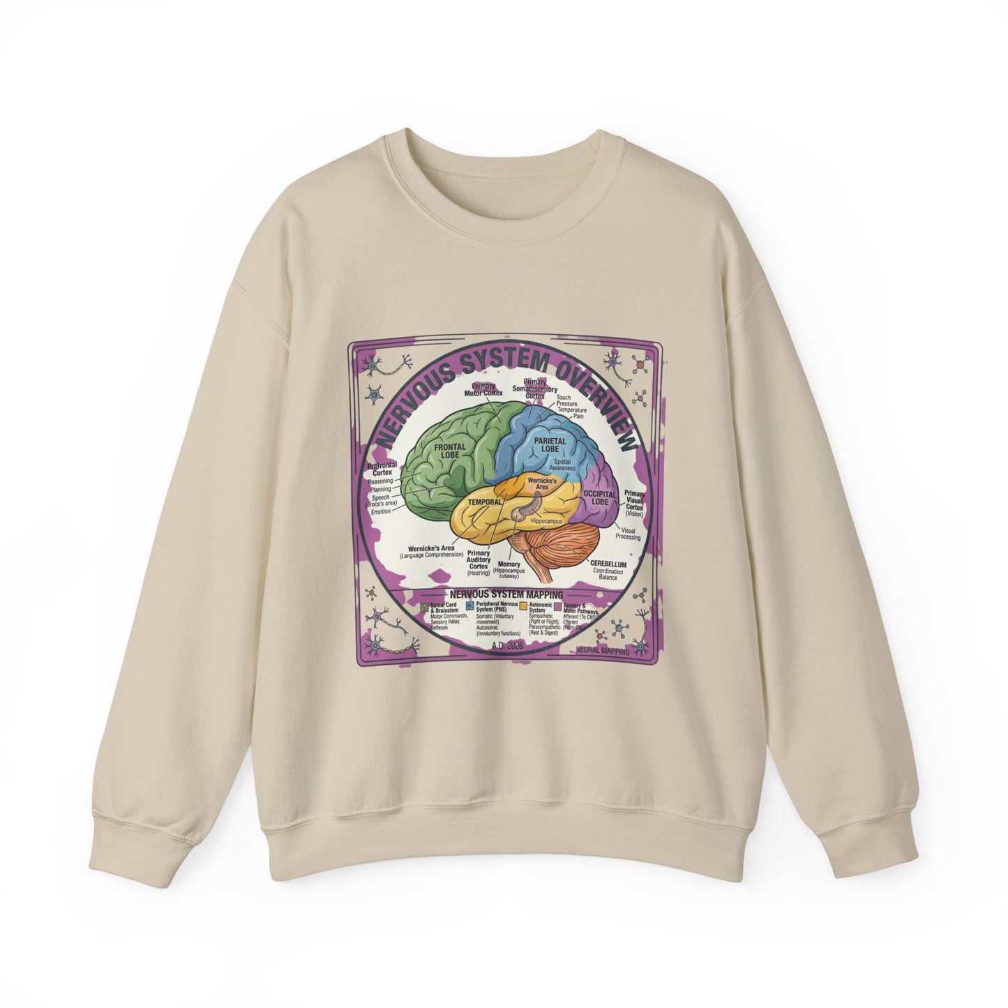 250th Anniversary Patriotic Brain Diagram Sweatshirt | 4th of July Centennial Trend