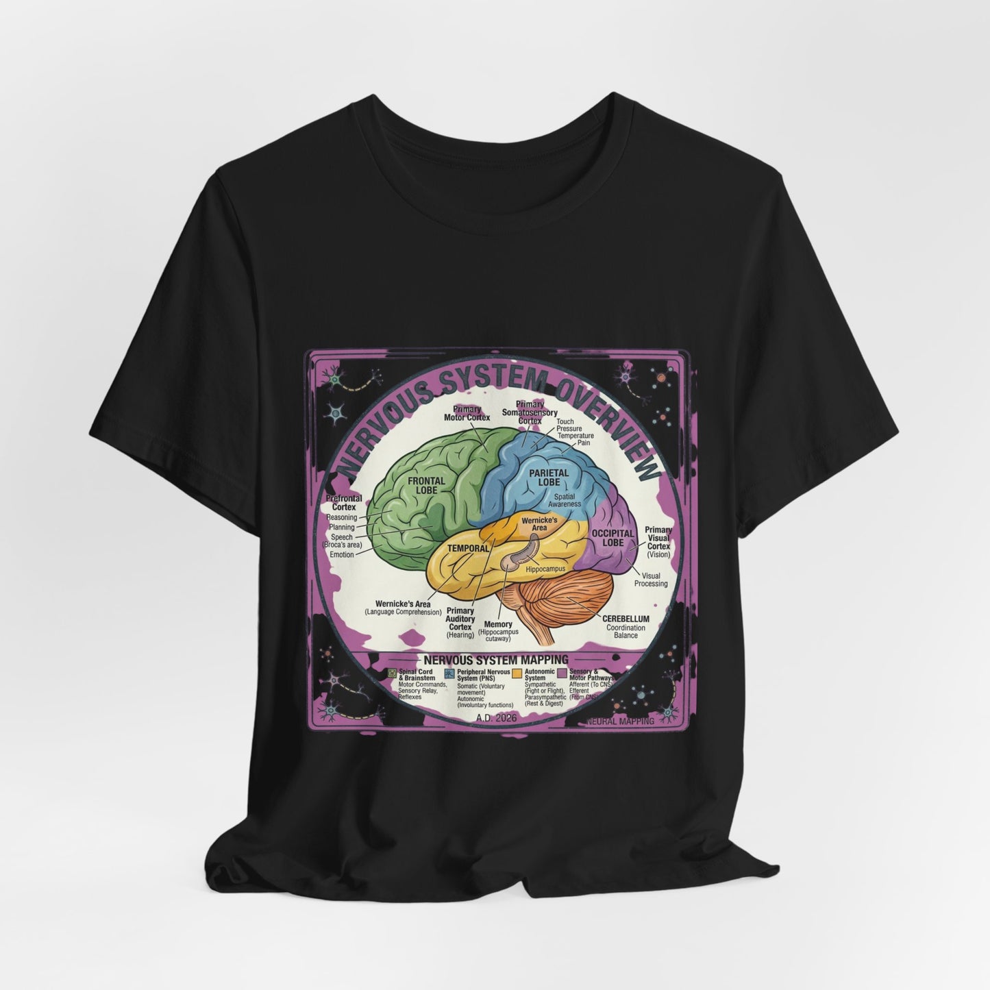 Brain Anatomy Diagram Tee | 250th Independence Day, Patriotic Milestone