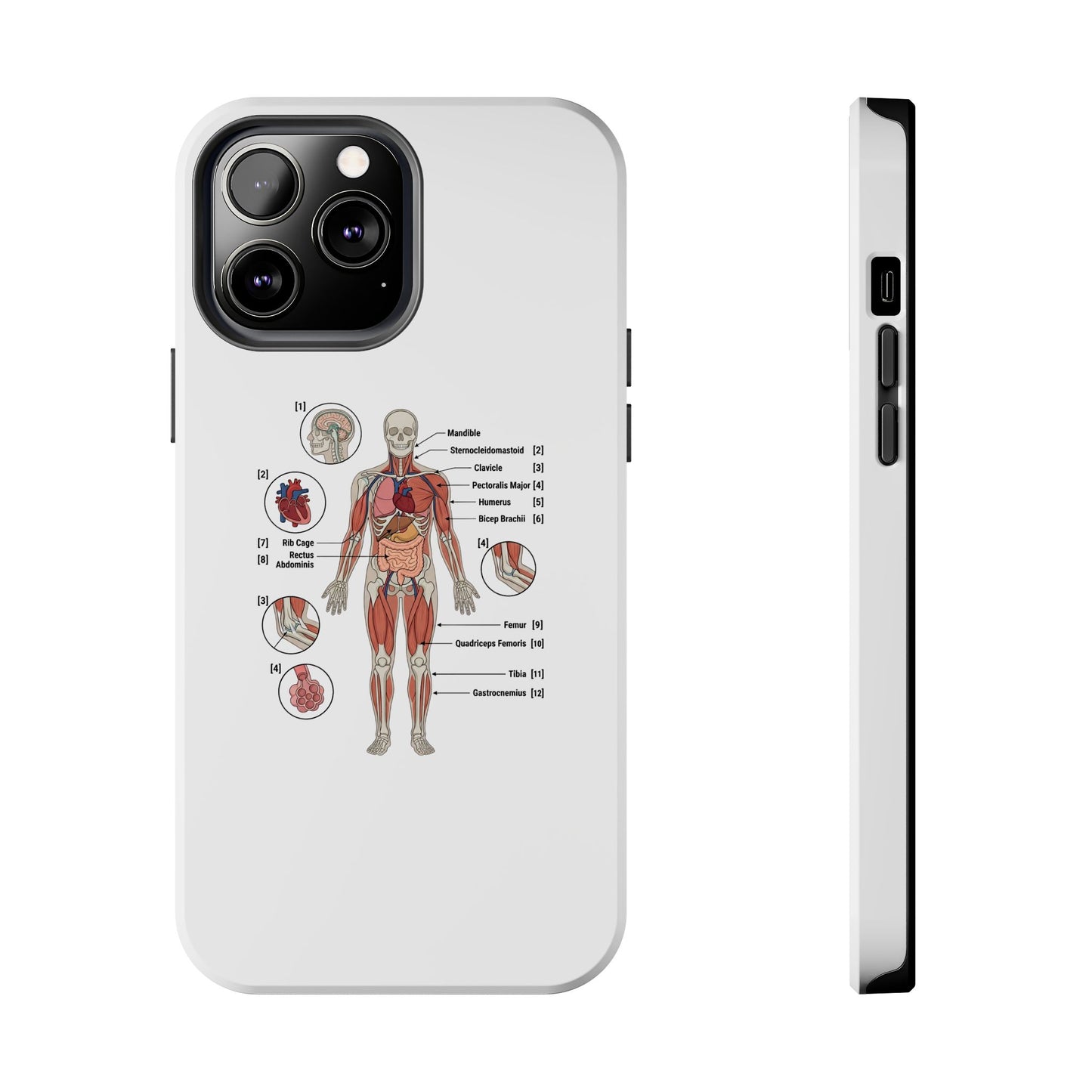 Anatomy Study Phone Case — Human Anatomy Diagram for Medical Students