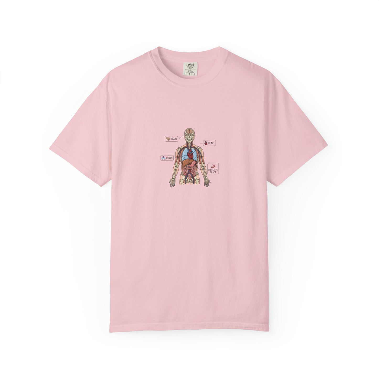 Human Anatomy Diagram T-Shirt — Medical Student Anatomy Tee