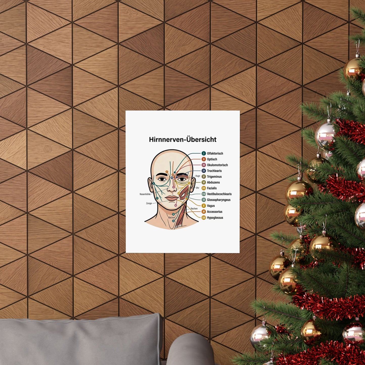 Anatomy Poster — Hirnnerven-Übersicht Matte Vertical Poster