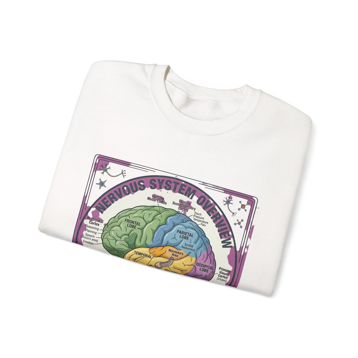 250th Anniversary Patriotic Brain Diagram Sweatshirt | 4th of July Centennial Trend