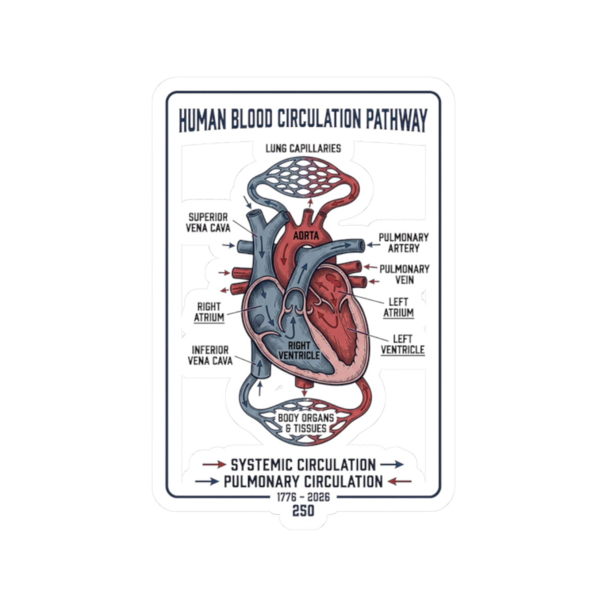 250th Anniversary Patriotic Heart Diagram Sticker | 4th of July Commemorative