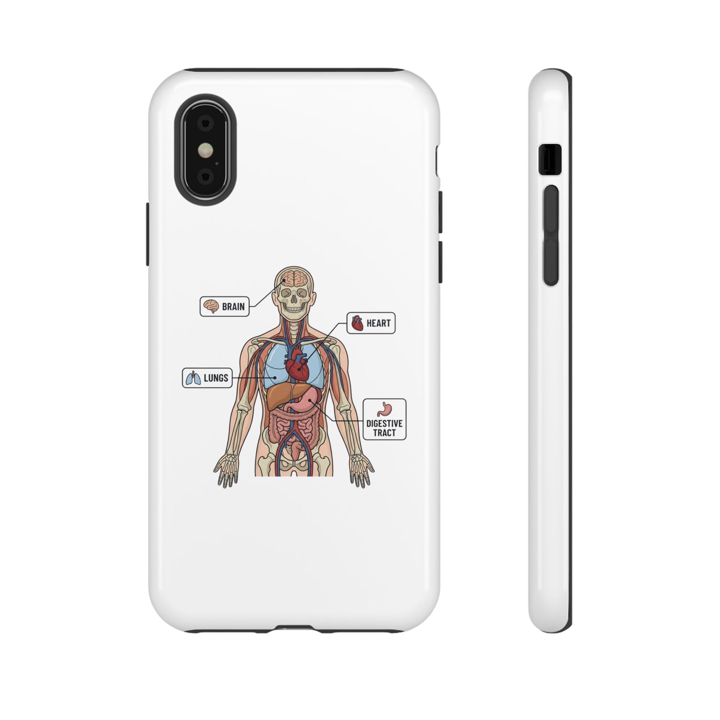 Anatomy Case — Medical Student Human Anatomy Study Aid
