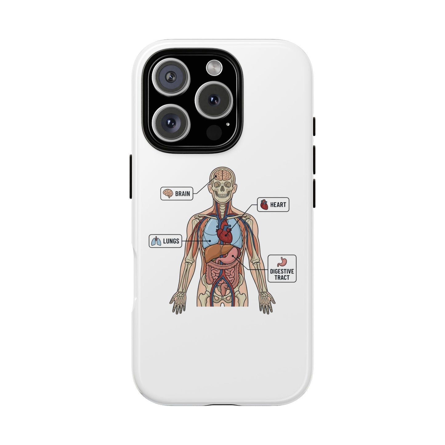 Anatomy Case — Medical Student Human Anatomy Study Aid