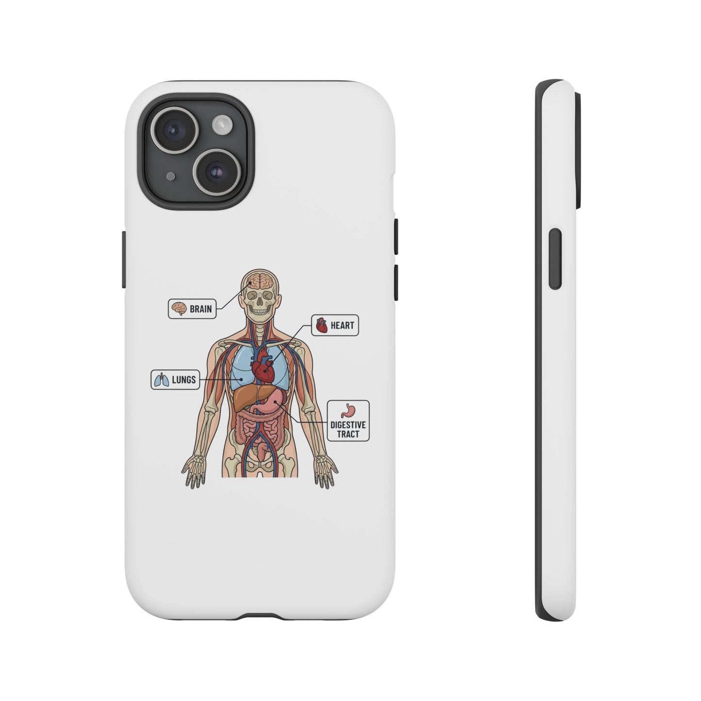 Anatomy Case — Medical Student Human Anatomy Study Aid