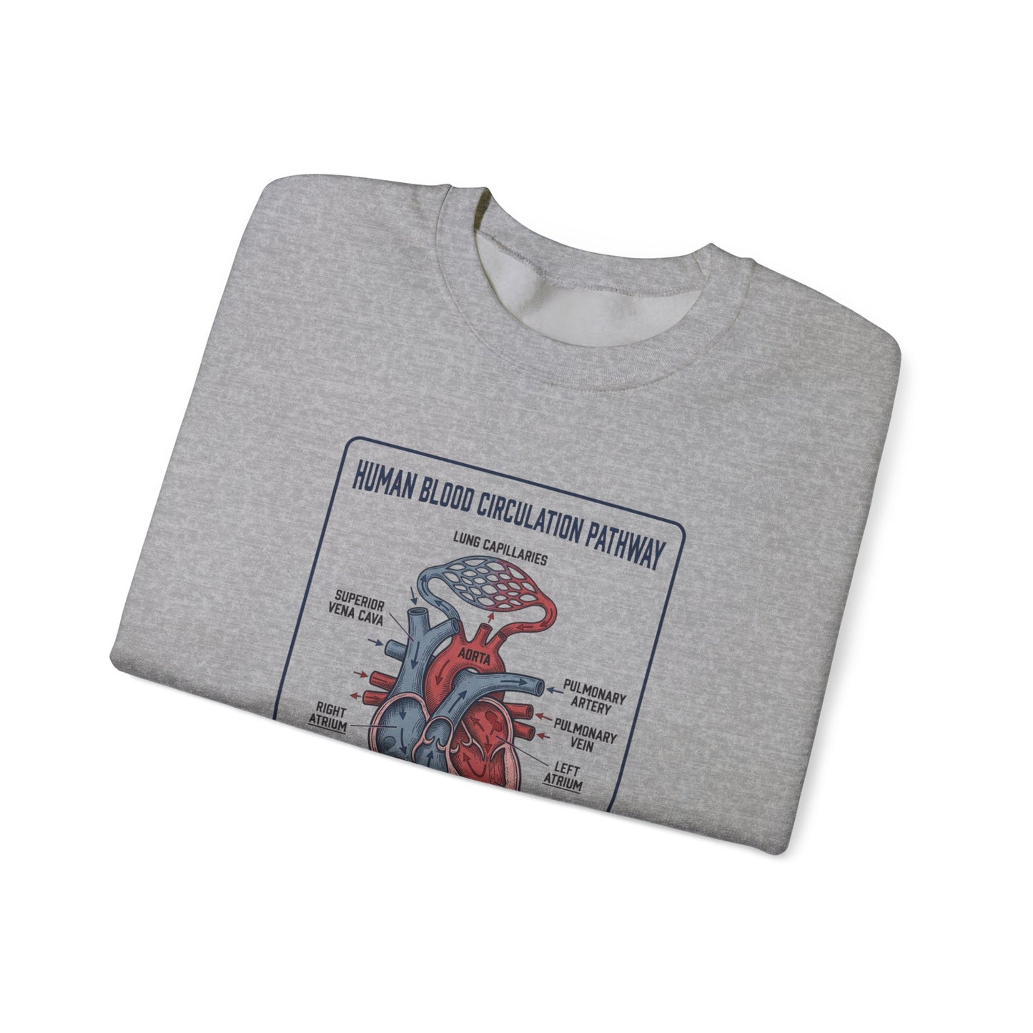 Anatomical Heart Diagram Sweatshirt | 250th 4th of July Patriotic Milestone