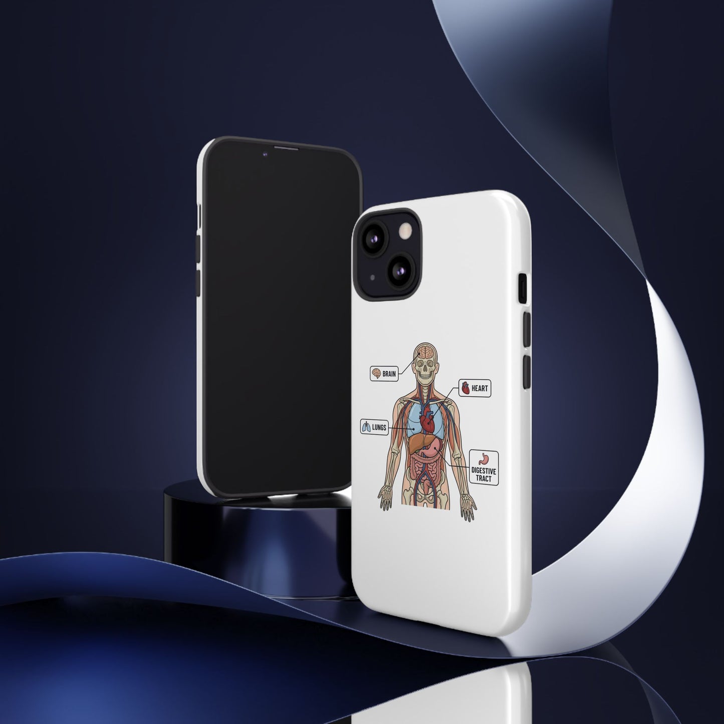Anatomy Case — Medical Student Human Anatomy Study Aid