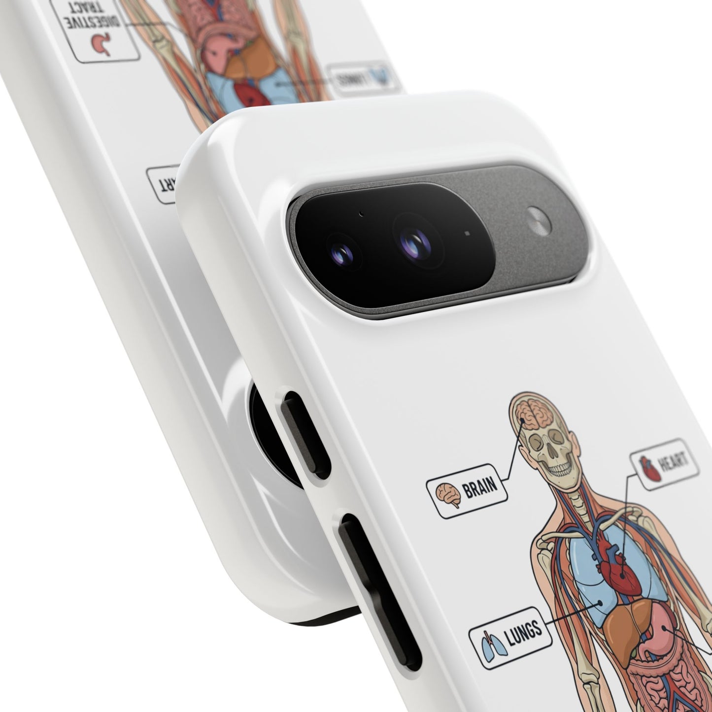Anatomy Case — Medical Student Human Anatomy Study Aid