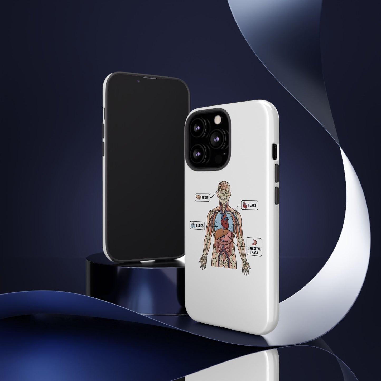 Anatomy Case — Medical Student Human Anatomy Study Aid