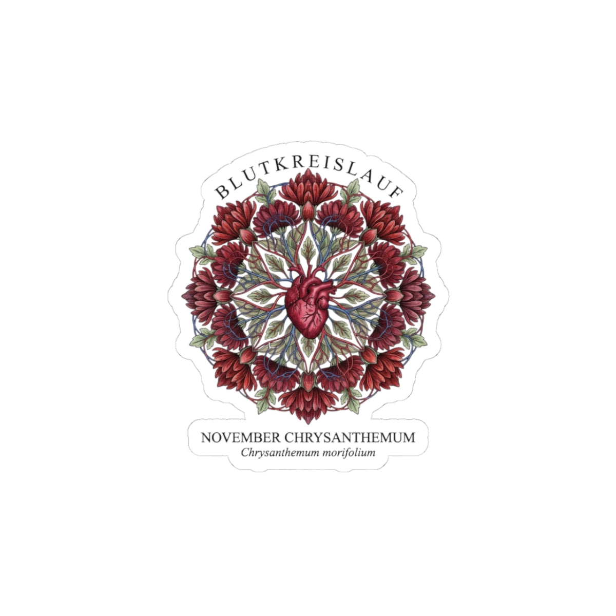 November Chrysanthemum Sticker | Birth Flower, Botanical Illustration