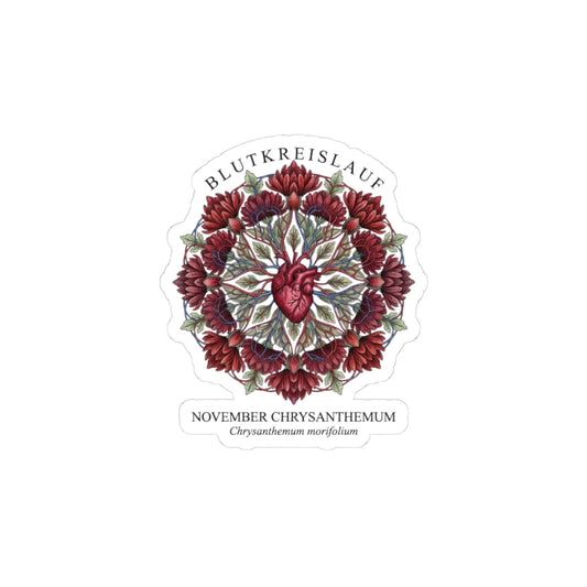 November Chrysanthemum Sticker | Birth Flower, Botanical Illustration
