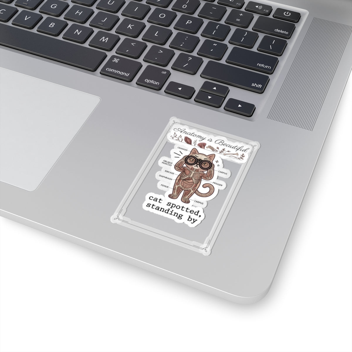 Anatomy Cat Illustration Kiss-Cut Stickers | Cat-Centric Novelty, Whimsical Anatomy