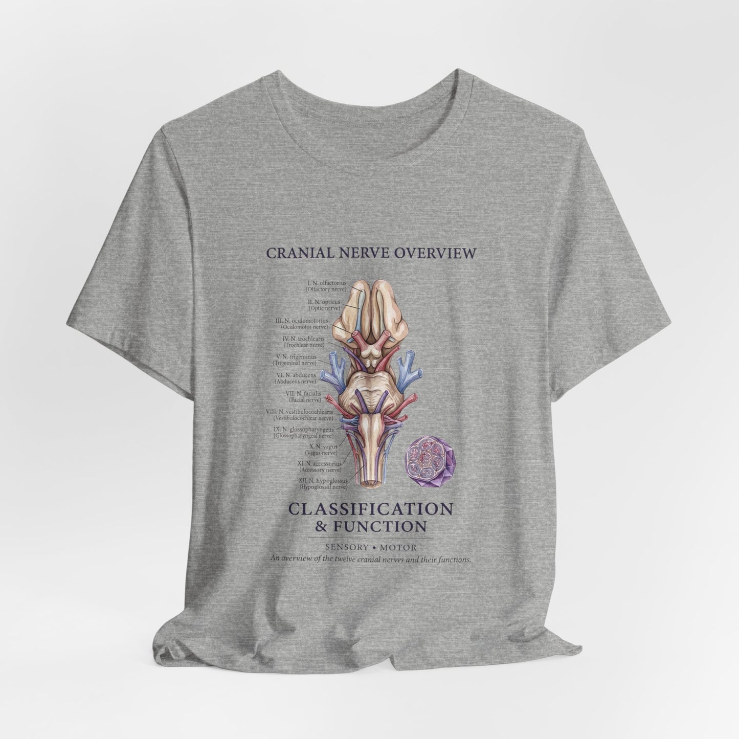 Cranial Nerve Anatomy Tee | Botanical Medical Illustration, Birth Flower Style