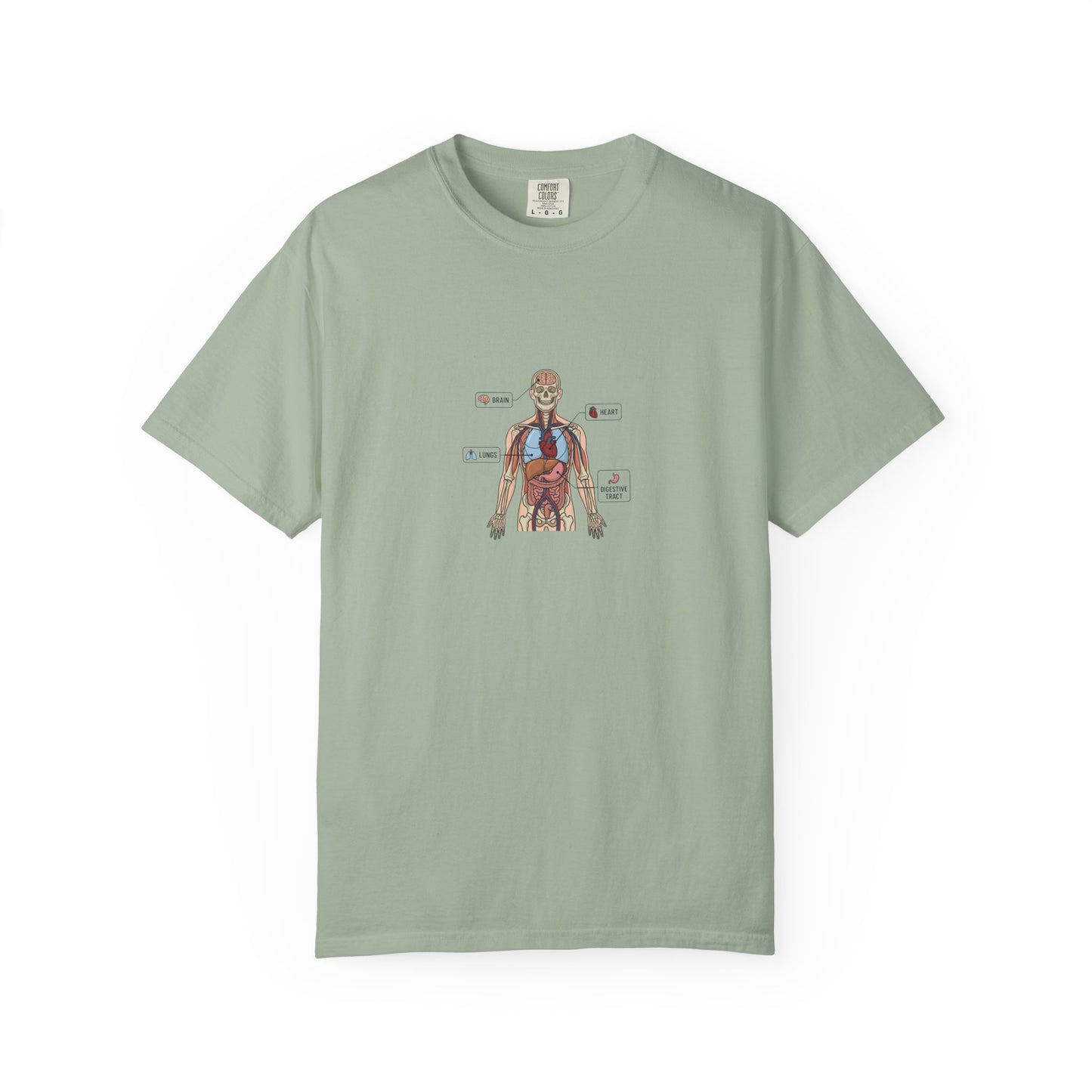 Human Anatomy Diagram T-Shirt — Medical Student Anatomy Tee