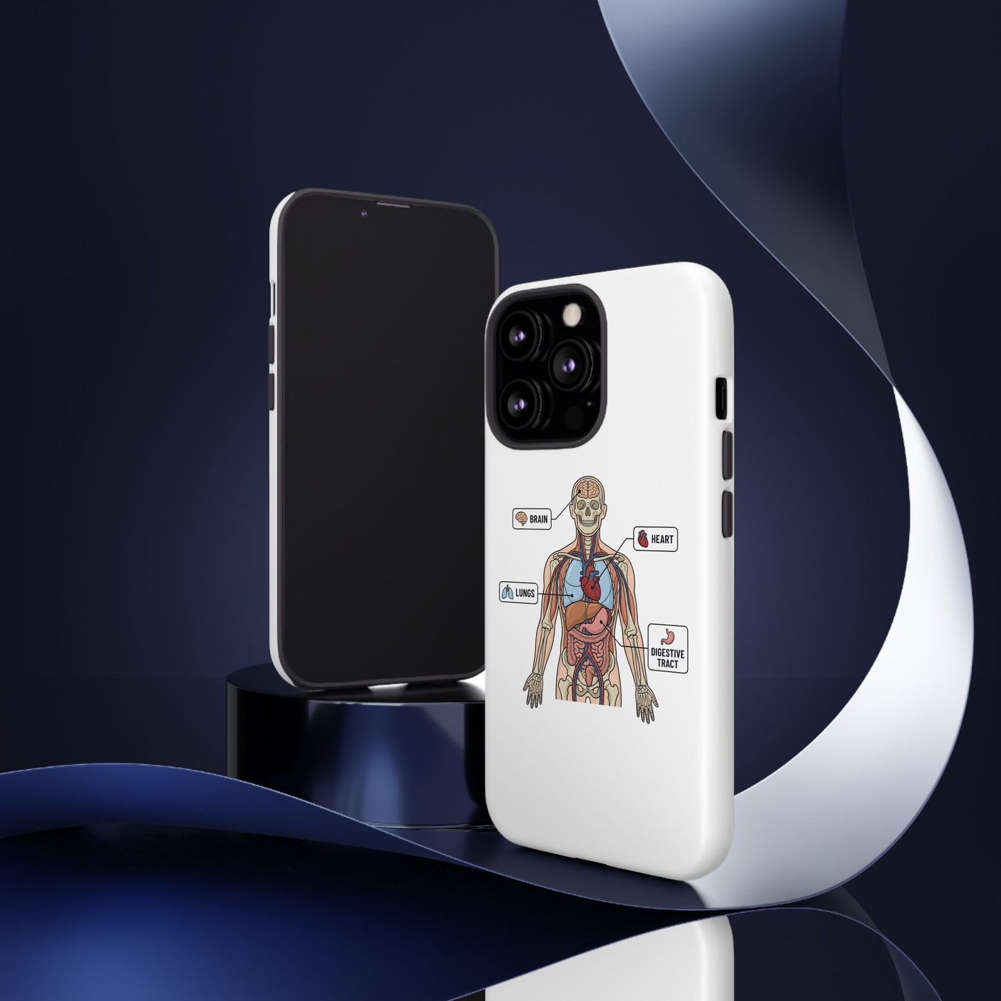 Anatomy Case — Medical Student Human Anatomy Study Aid
