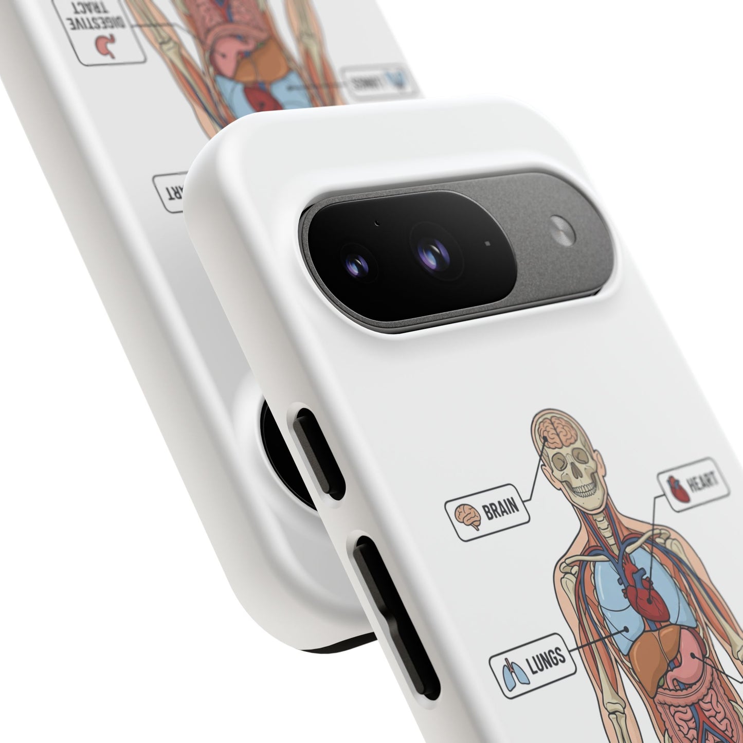 Anatomy Case — Medical Student Human Anatomy Study Aid