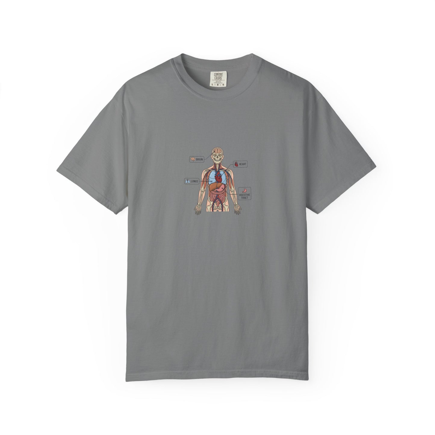 Human Anatomy Diagram T-Shirt — Medical Student Anatomy Tee