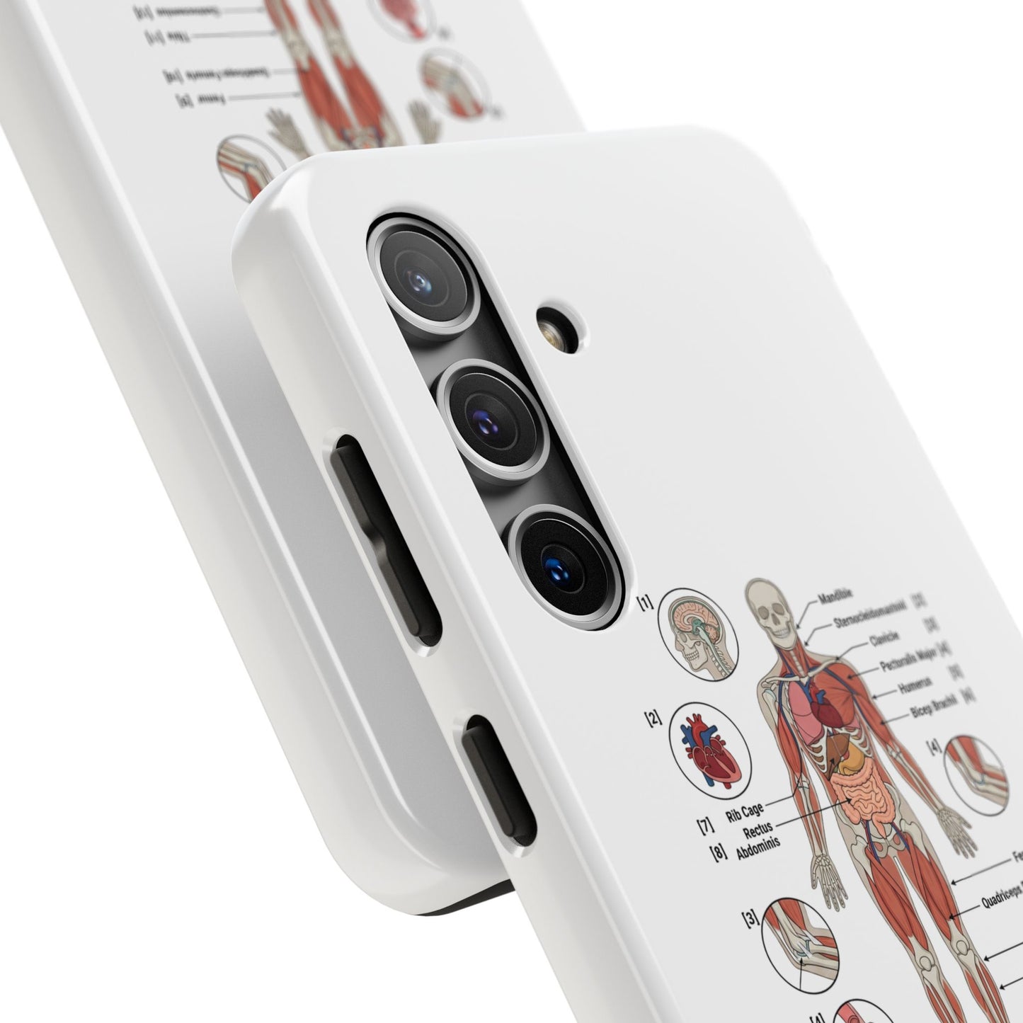 Anatomy Study Phone Case — Human Anatomy Diagram for Medical Students