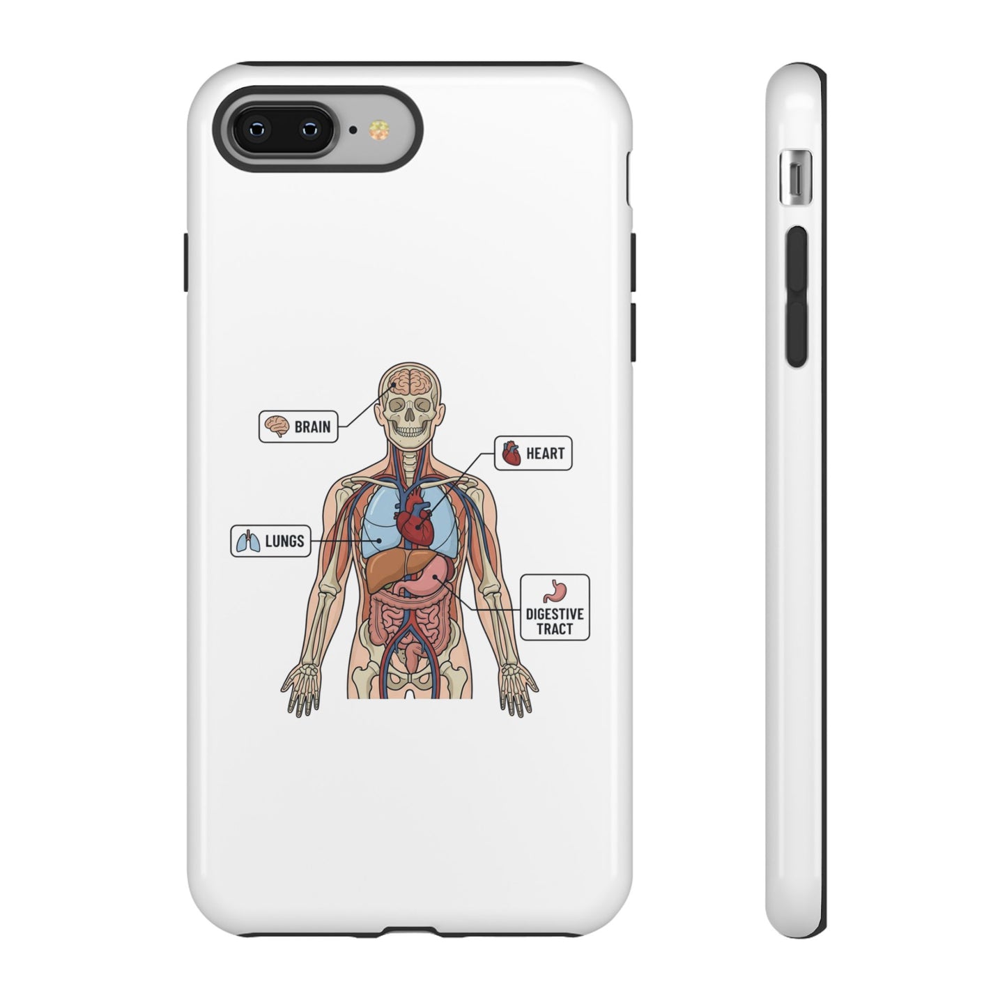 Anatomy Case — Medical Student Human Anatomy Study Aid