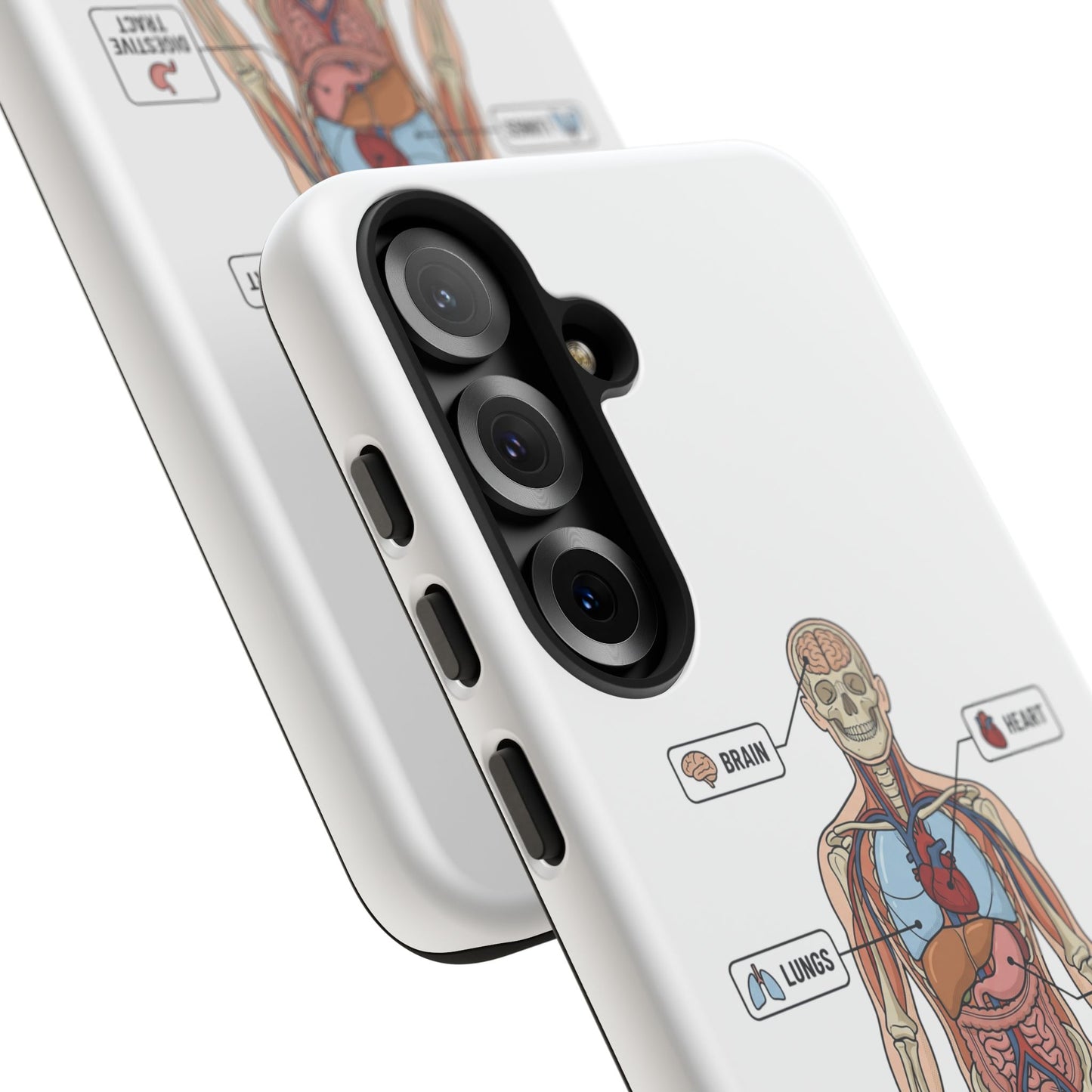 Anatomy Case — Medical Student Human Anatomy Study Aid