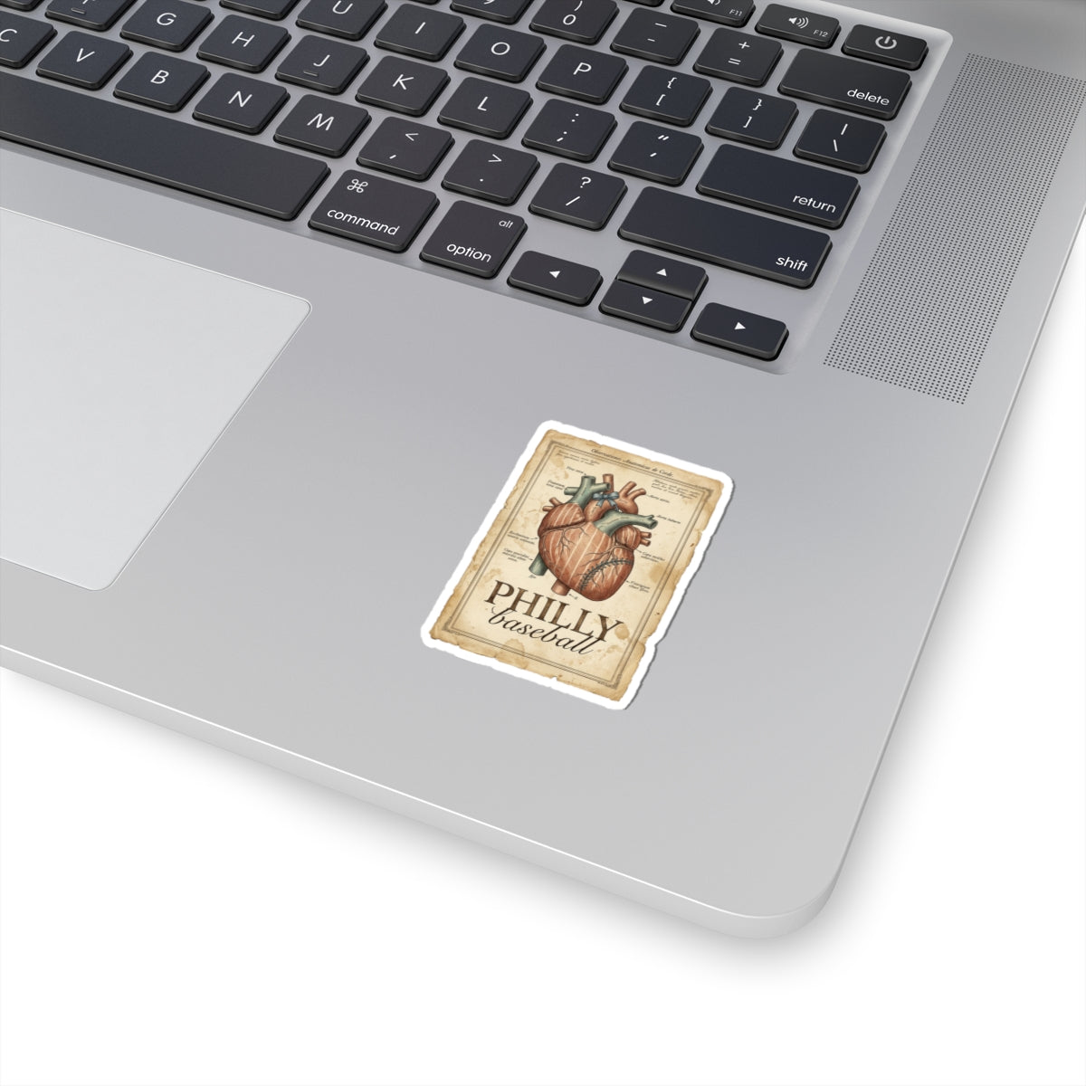 Philly Baseball Anatomical Heart Sticker | City Pride, Sports Fan Decal