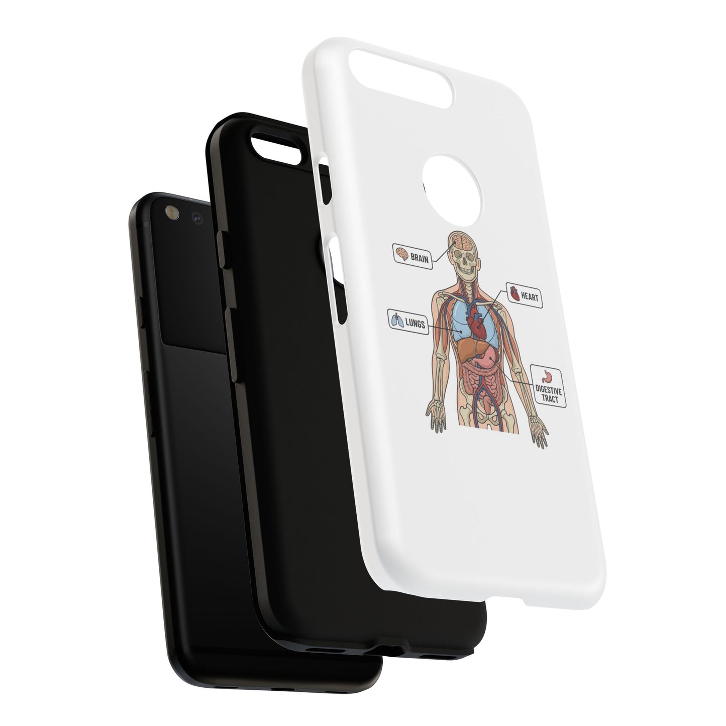 Anatomy Case — Medical Student Human Anatomy Study Aid