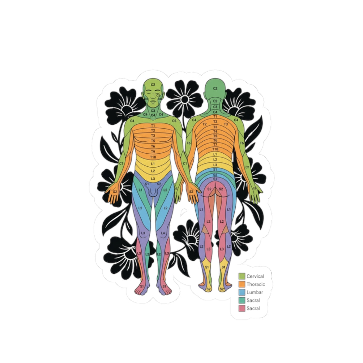 Chakra Anatomy Diagram Sticker | People Over Profit, Values-Led