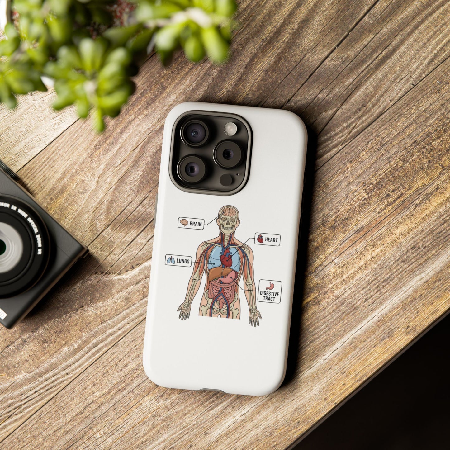 Anatomy Case — Medical Student Human Anatomy Study Aid