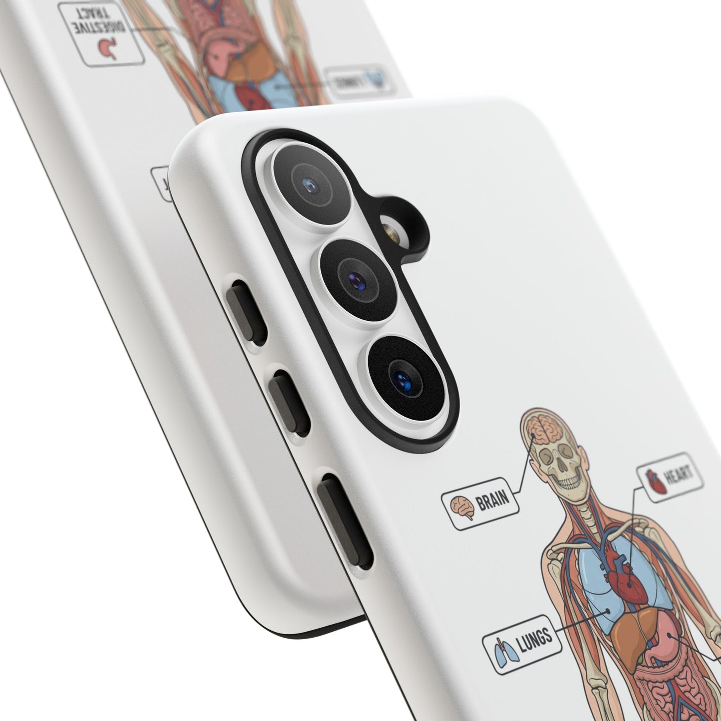 Anatomy Case — Medical Student Human Anatomy Study Aid