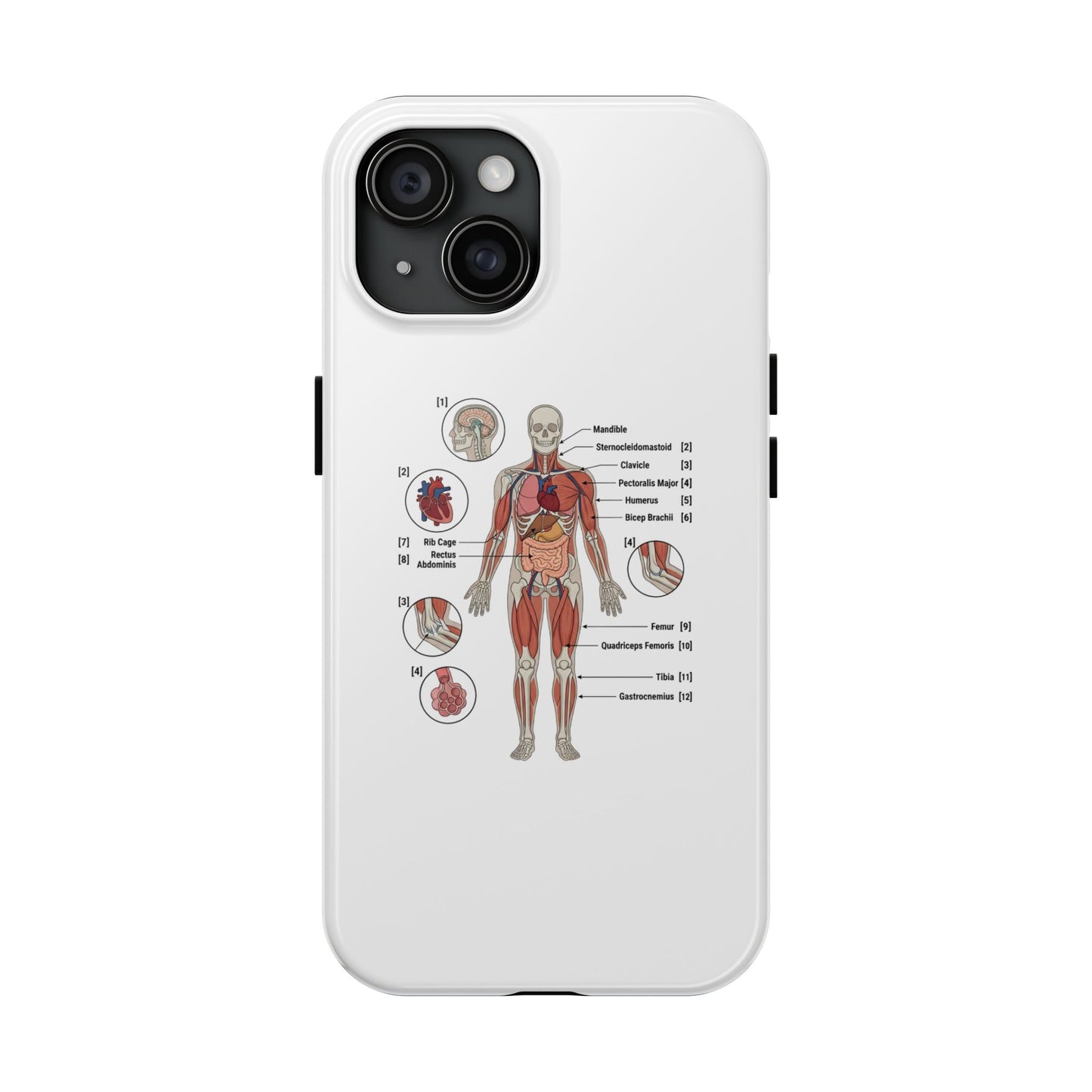 Anatomy Study Phone Case — Human Anatomy Diagram for Medical Students